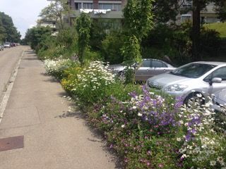 Rolf Ammann Gartenbau und Pflege GmbH - Zürich