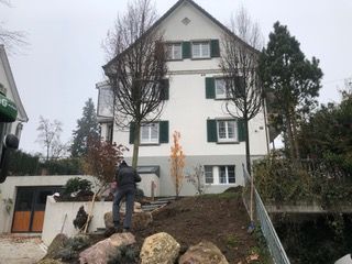 Rolf Ammann Gartenbau und Pflege GmbH - Zürich
