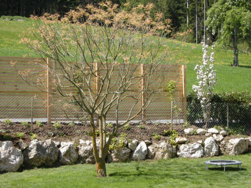 Neuerstellung eines Sichtschutzwand aus Lerchenholz