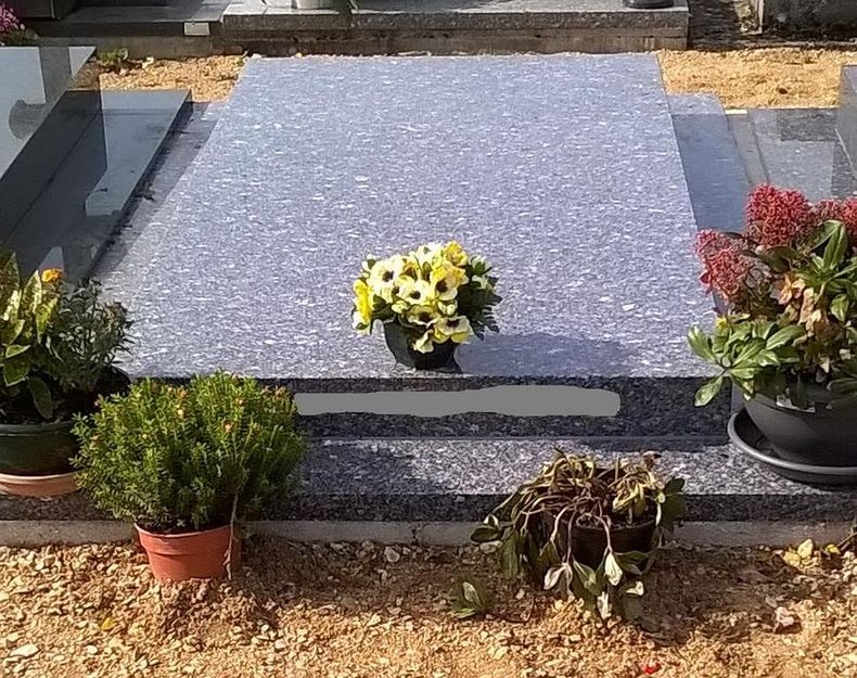Pierre tombale en granit ornée de bouquets de fleurs et de plantes en pot dans un cimetière