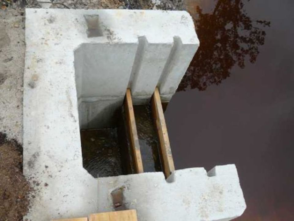 Teichwirtschaft Petershain