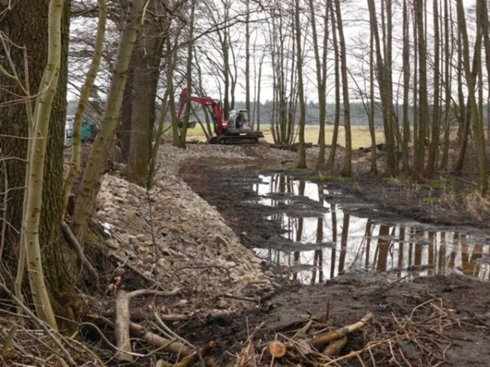 Teichwirtschaft Petershain