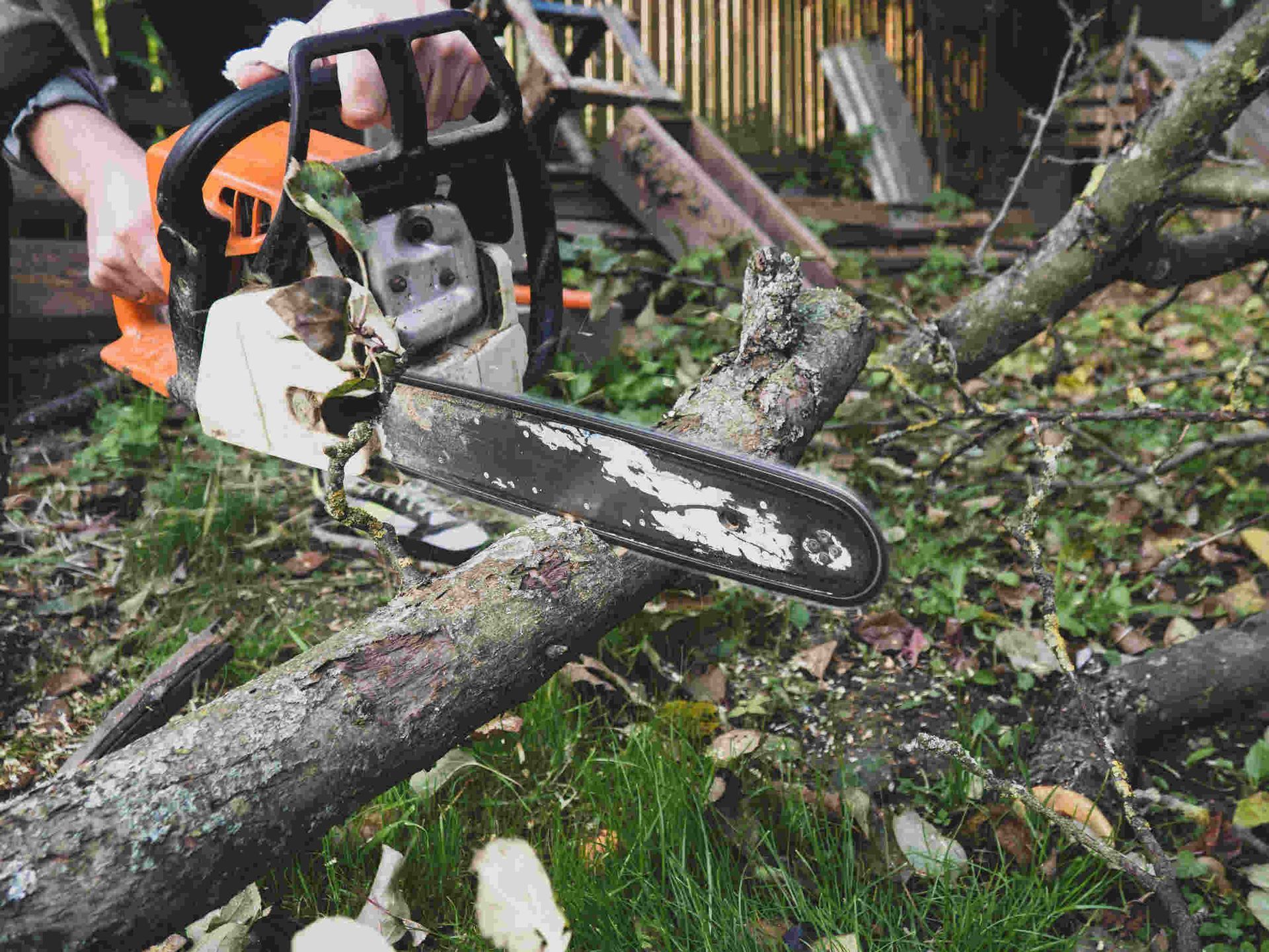 Una persona está cortando una rama de árbol con una motosierra.