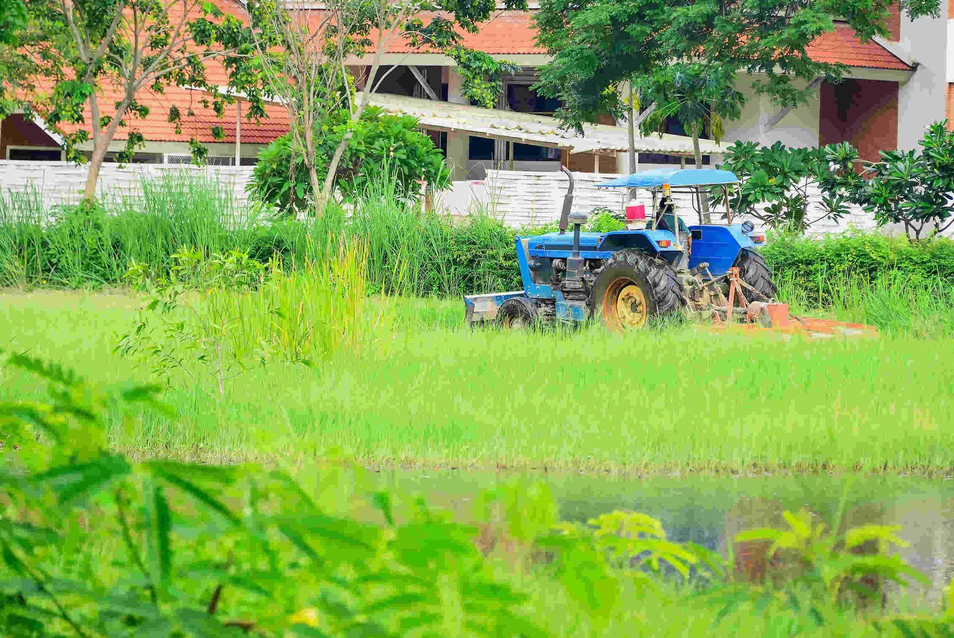 Un tractor azul está arando un campo verde y exuberante.