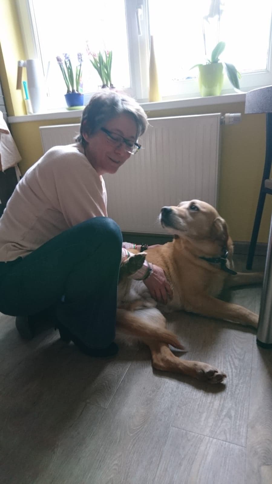 Une séance de psychonomie animale