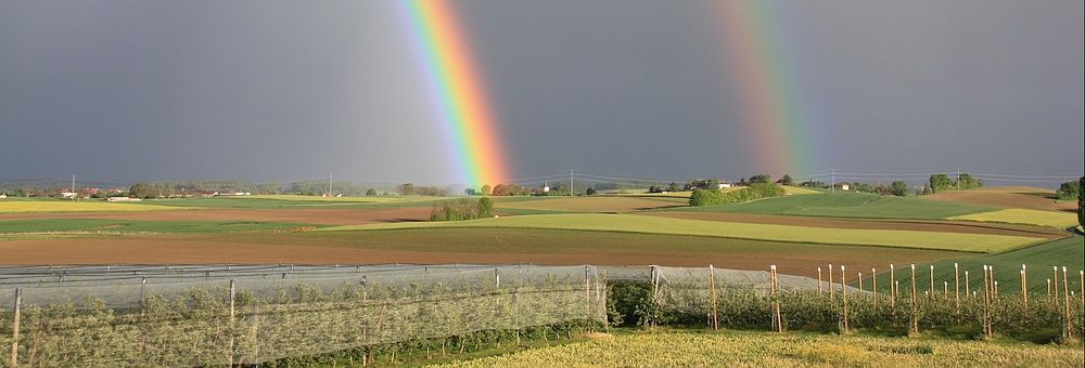 Grancy - Joyet Frères