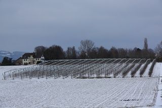pressoir de Grançy - Joyet Frères