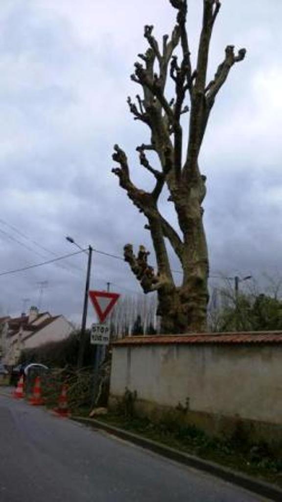 Elagage Coulommniers