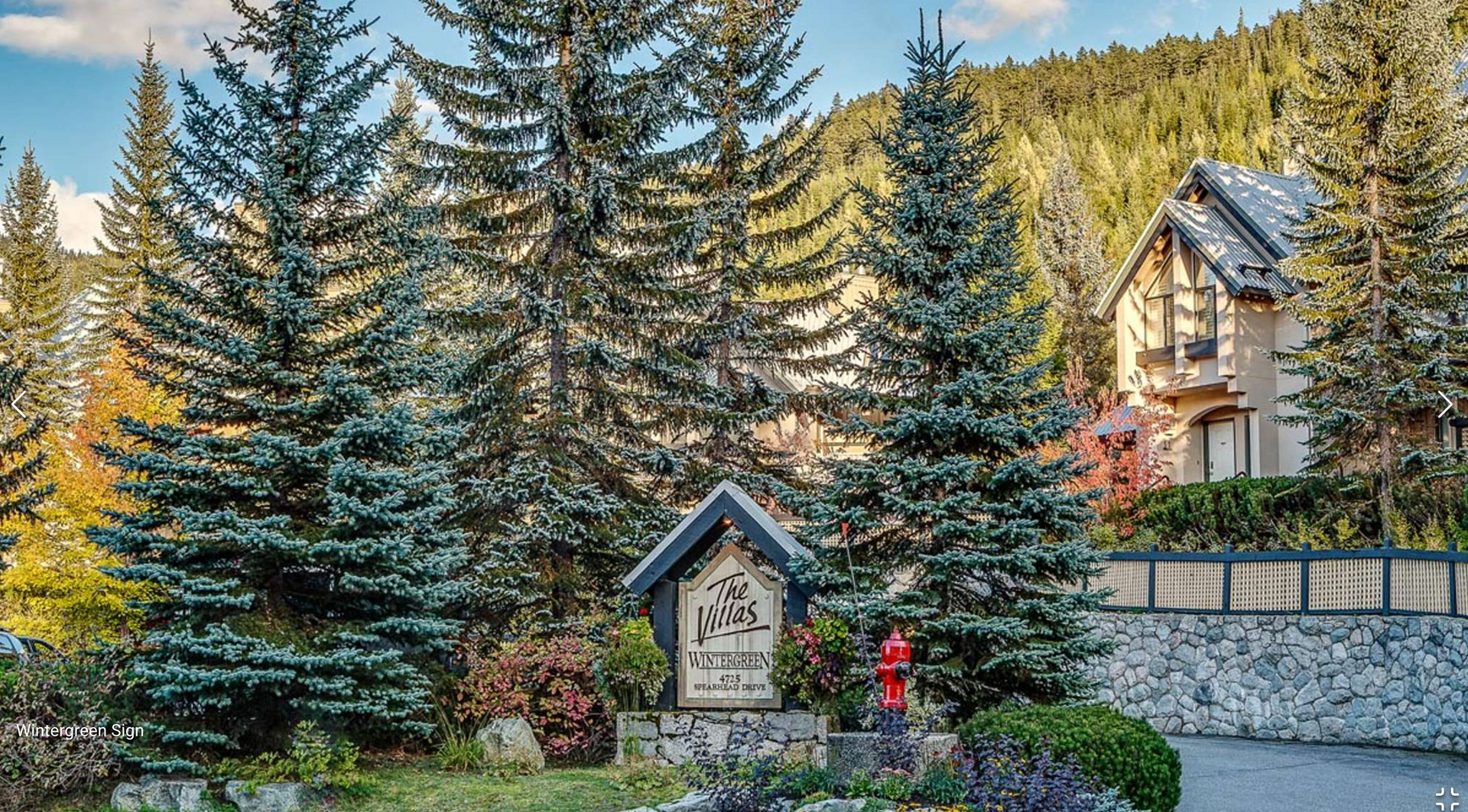 Snowy landscaped yard with evergreens, a small birdhouse, and a house in the background.