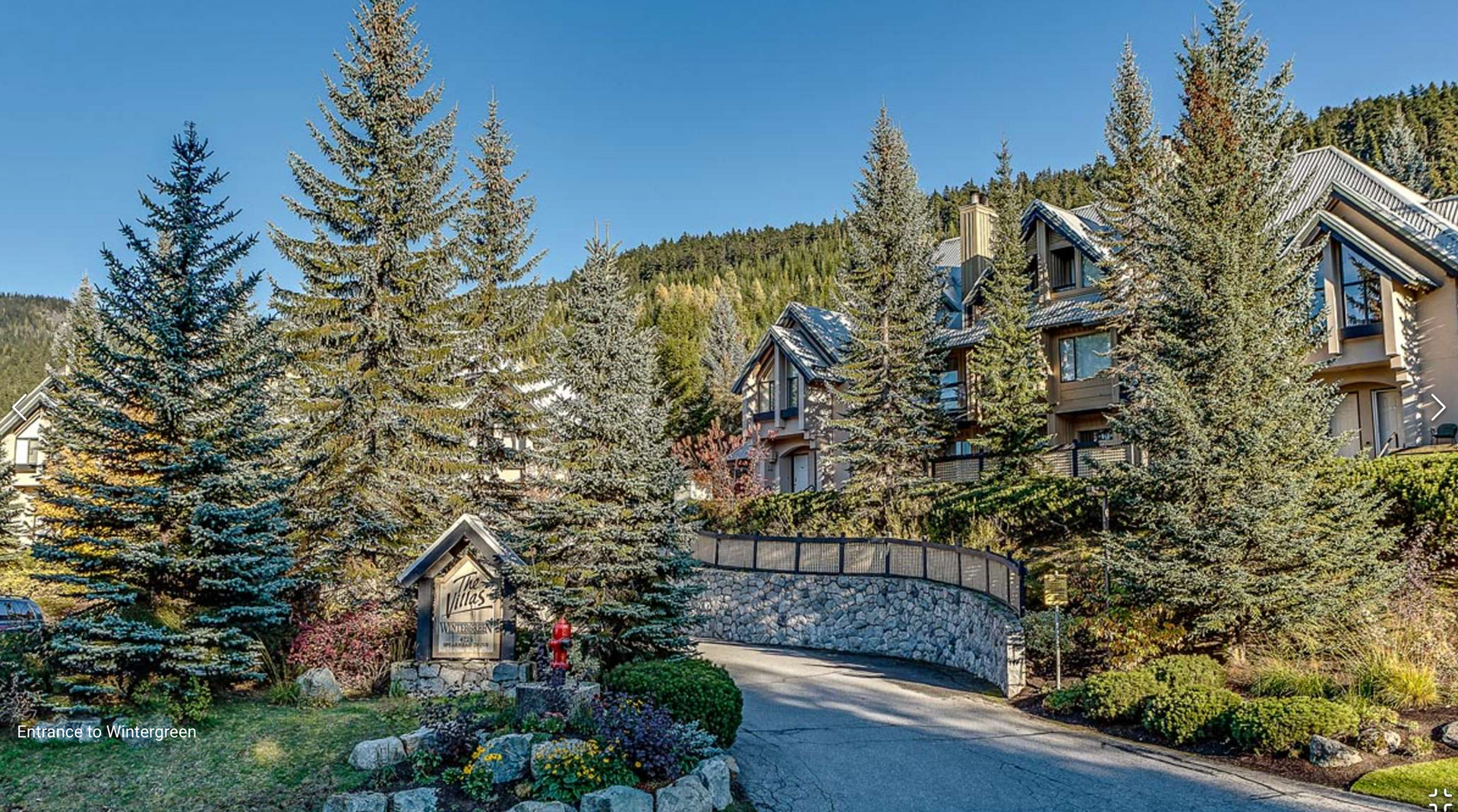 Mountain lodge homes among evergreen trees beside a winding paved driveway.