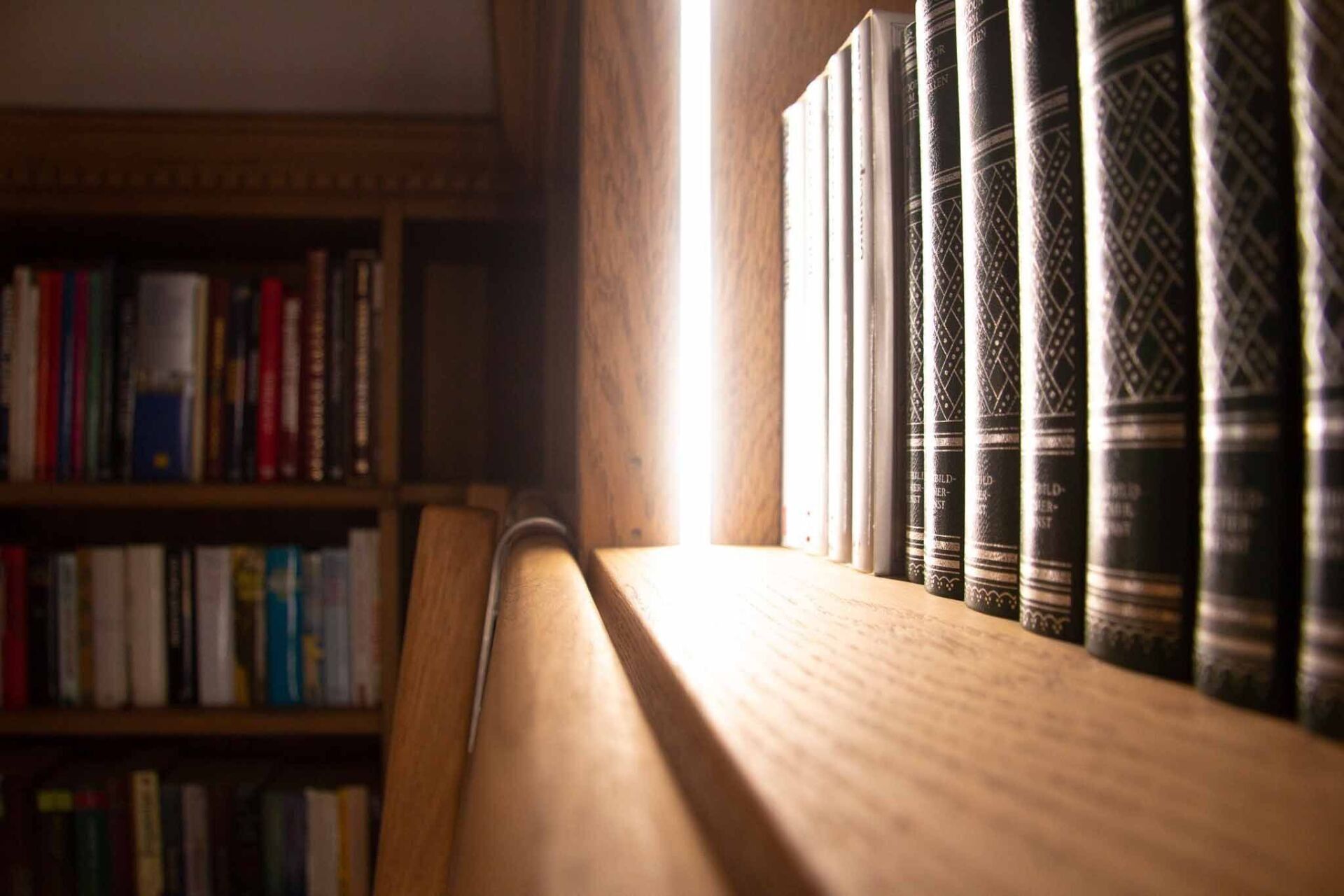 Pautz Möbelmanufaktur - Bibliothek