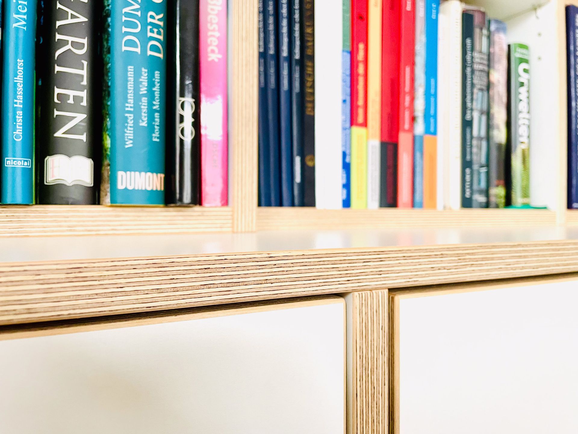 Bücher auf einem Holzregal, einige mit bunten Buchrücken. Darunter weiße Schranktüren.