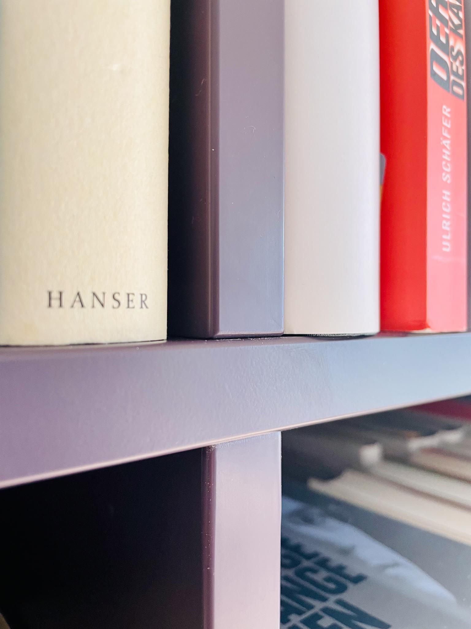 Bücher in einem violetten Bücherregal; sichtbare Buchrücken in Creme, Weiß, Rot und Violett sowie der Verlagsaufdruck „HANSER“.
