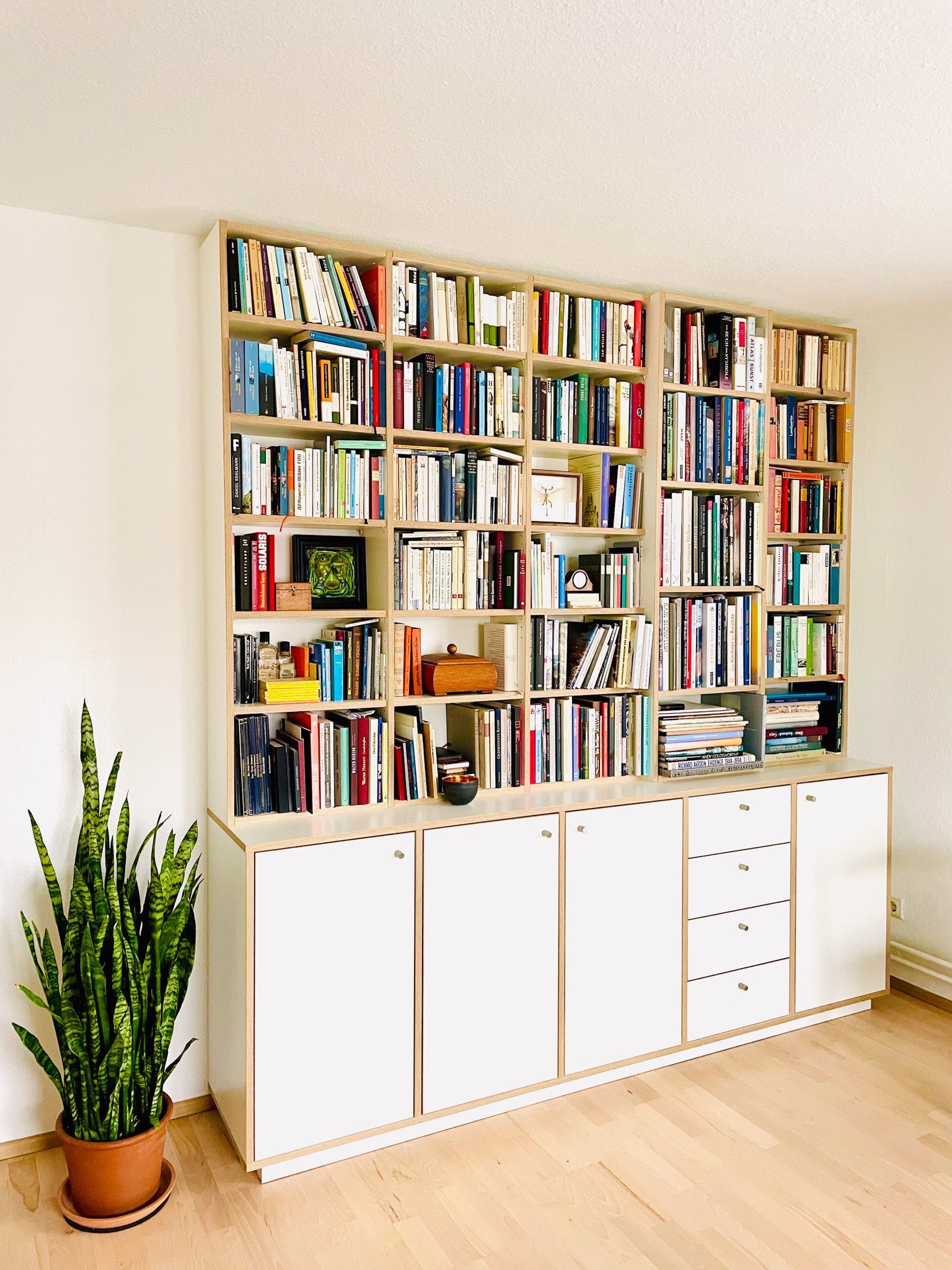 Hohes weißes Bücherregal voller Bücher, über weißen Schränken, neben einer Topfpflanze aus Bogenhanf.