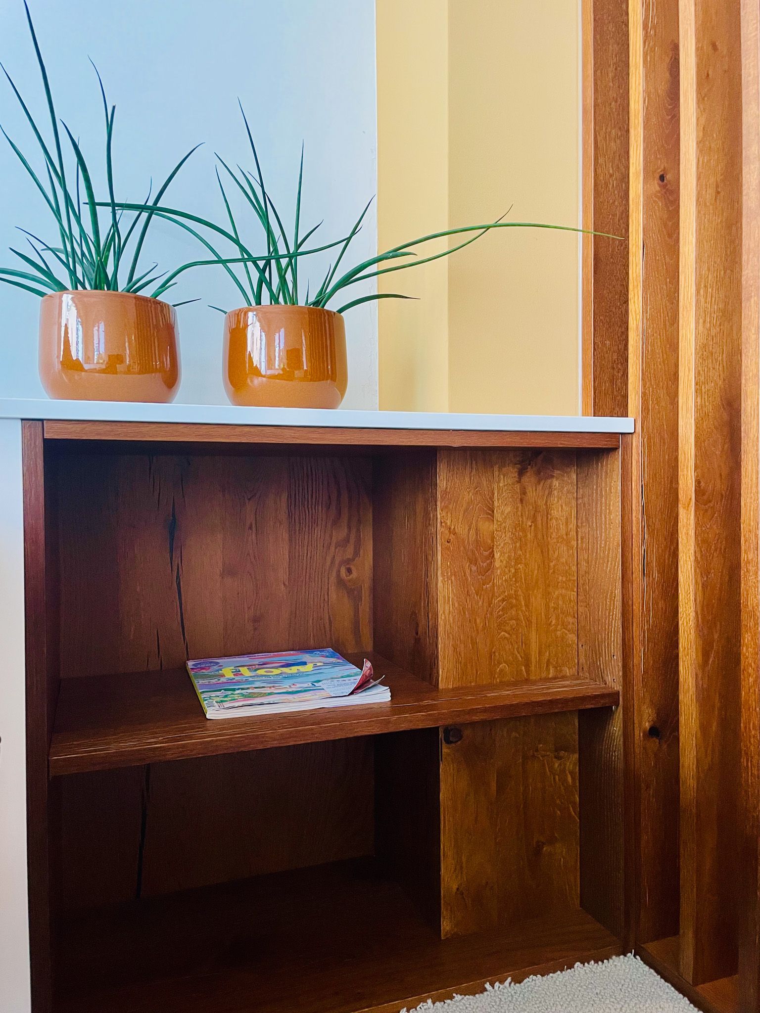 Bücherregal aus Holz mit zwei orangefarbenen Topfpflanzen darauf und einem Buch darin.