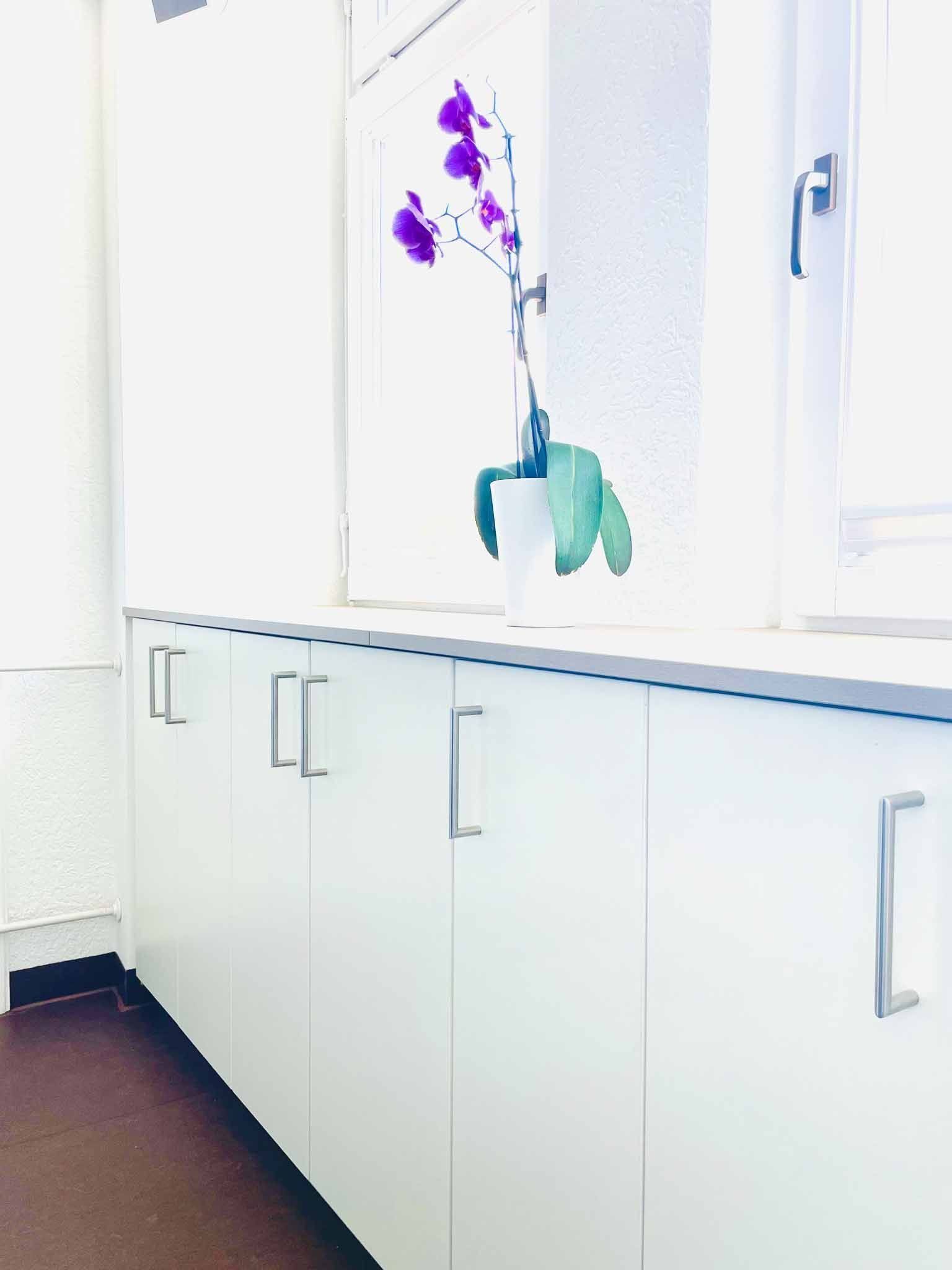 Pautz Möbelmanufaktur - Physiopraxis