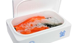Opinn pólýstýrenkælir fylltur með hráum laxaflökum á muldum ís.