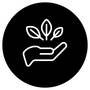 Icon Pflanze