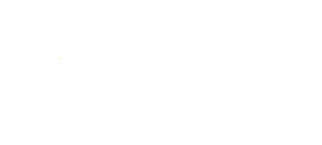 Fischer BäckCafe - Feinbäckerei Fischer