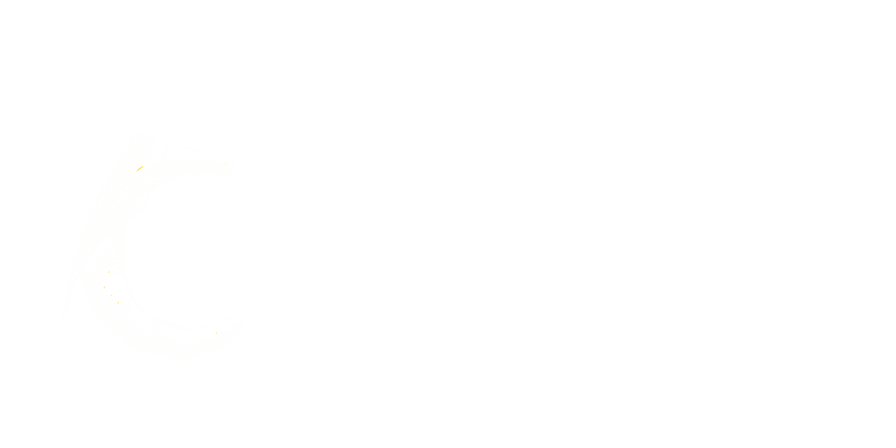 Fischer BäckCafe - Feinbäckerei Fischer
