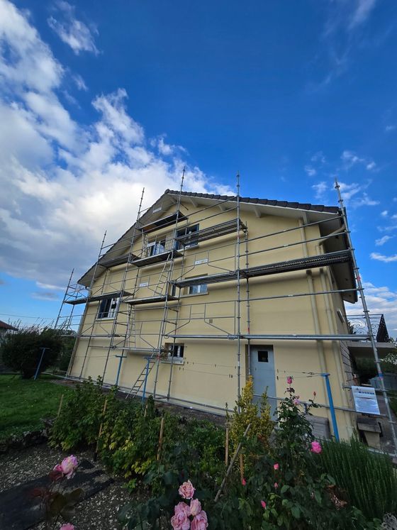 Maison jaune avec des échafaudages sous un ciel bleu, vue depuis un jardin parsemé de fleurs roses