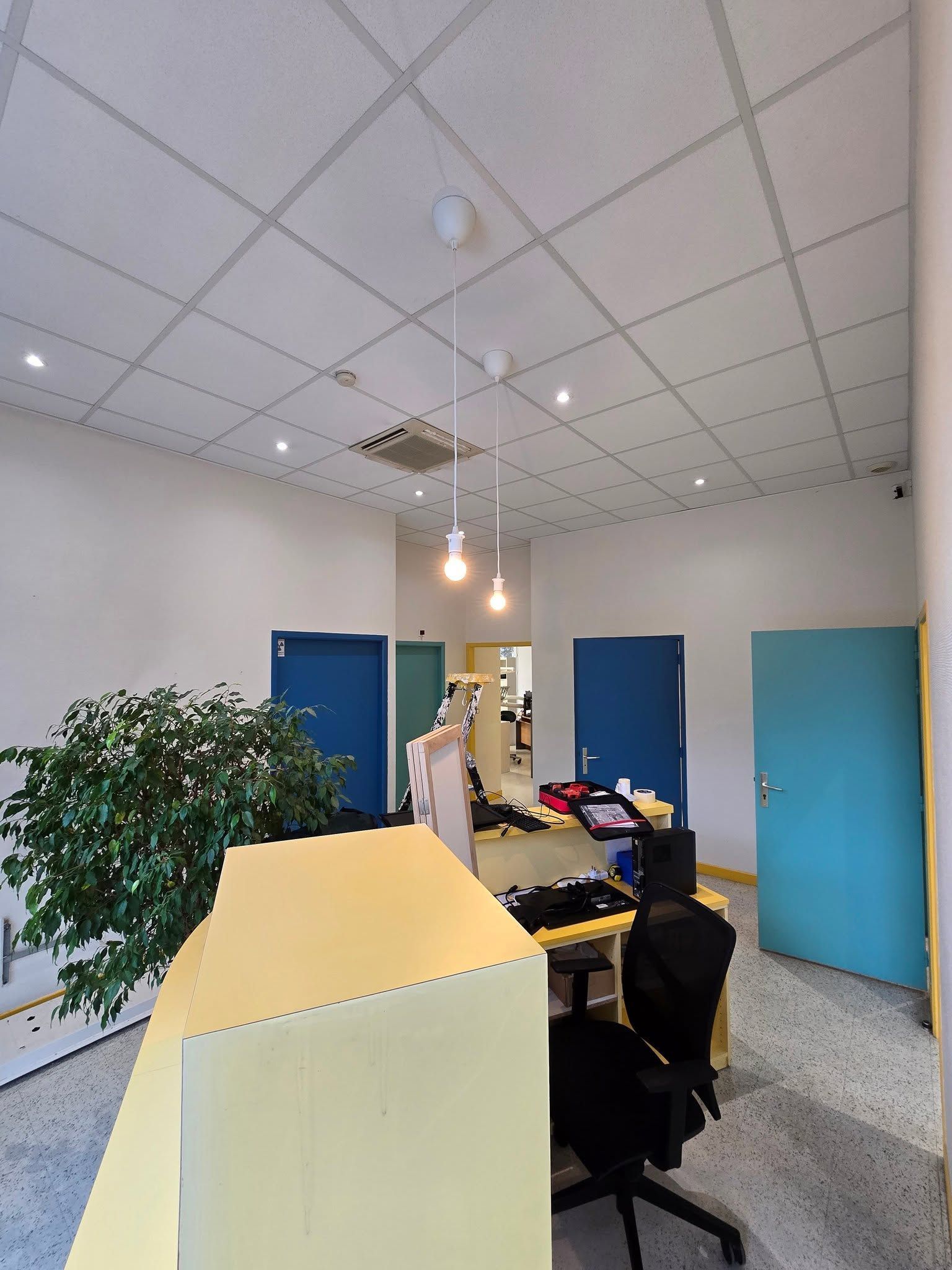 Hall d’entrée de bureaux avec des bureaux, des portes bleues, des suspensions et une grande plante en pot