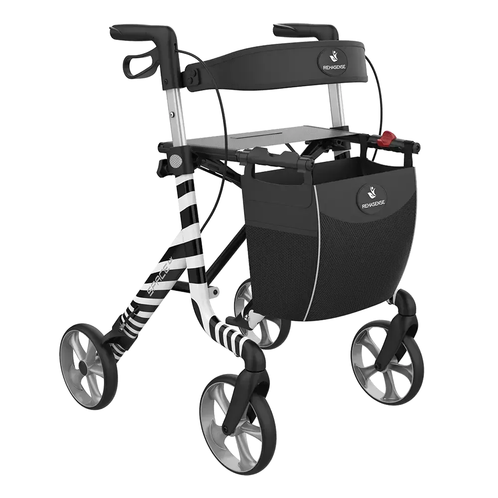 Déambulateur zèbre