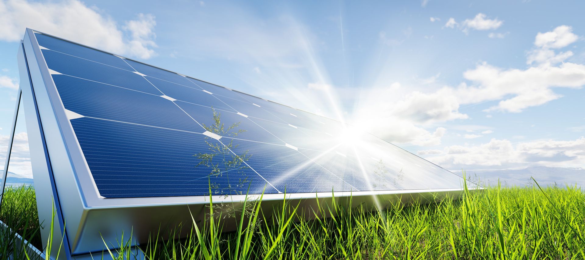 Panneaux solaires posés sur une pelouse