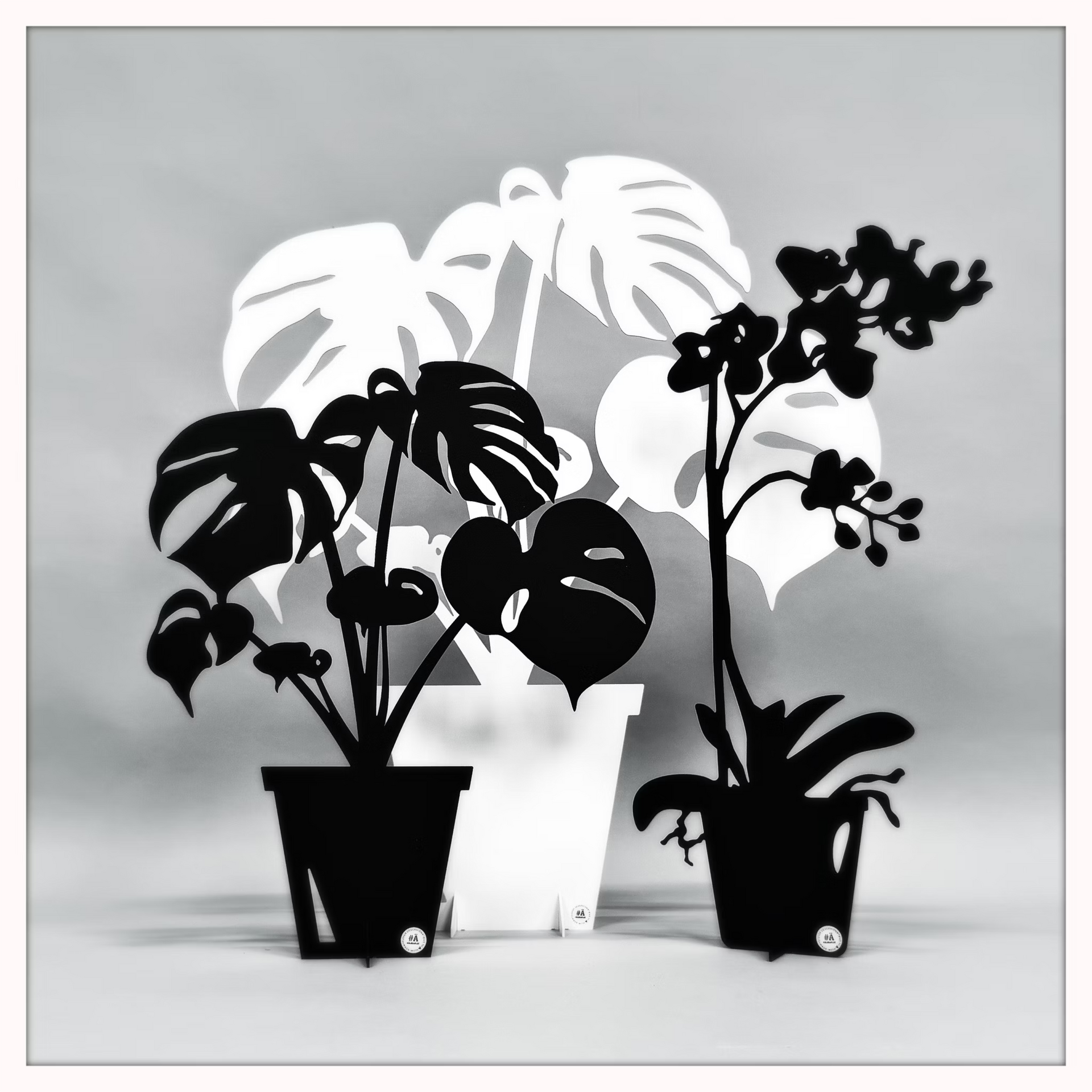 Ein von drei Topfpflanzen