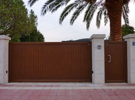 Una puerta de madera con una palmera al fondo.