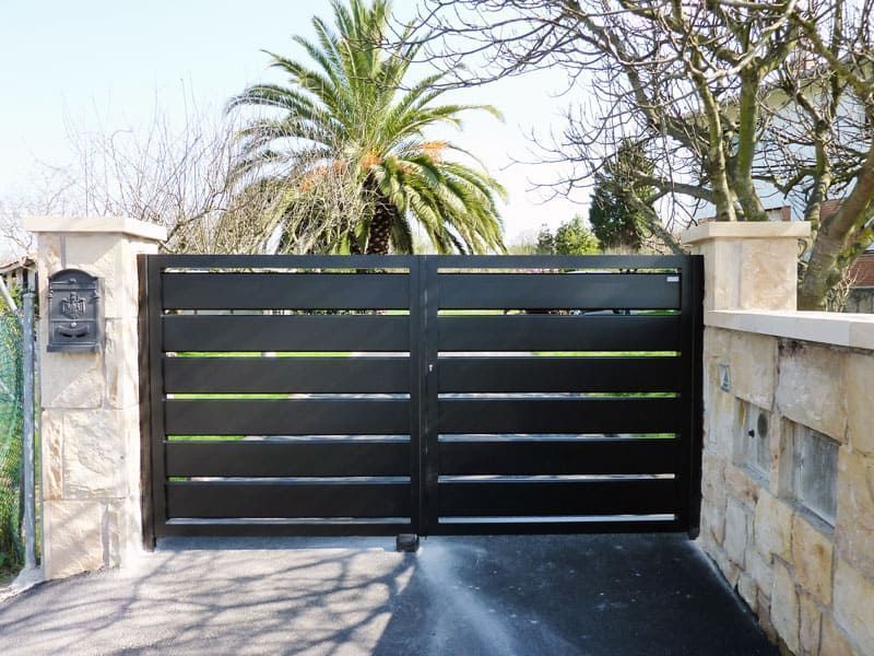 Una puerta negra con una palmera al fondo.