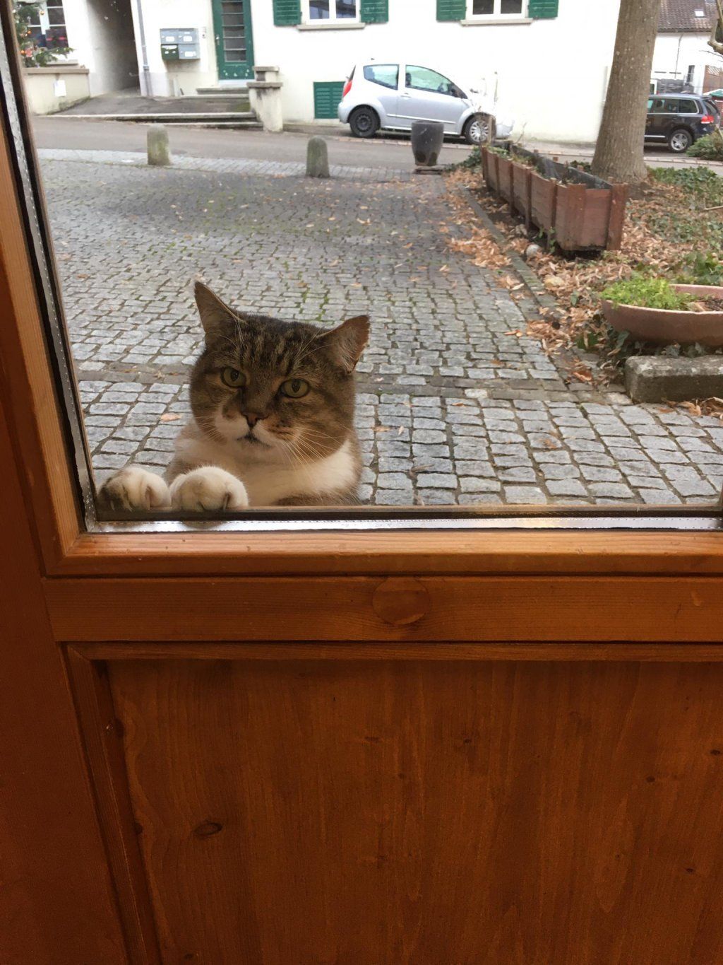 Spitzen-Atelier Glattfelden