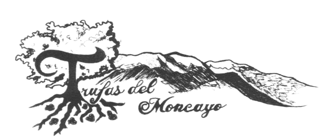 Logotipo con árbol estilizado y montañas, texto que dice