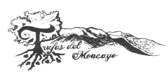 Logotipo con árbol estilizado y montañas, texto que dice 