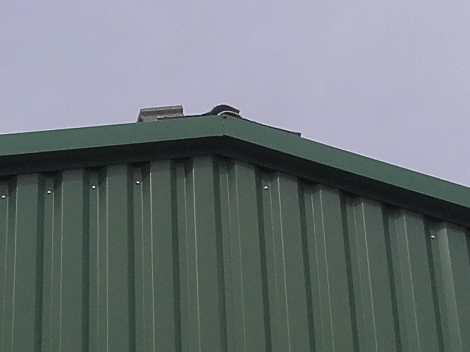 Haut d'un bâtiment agricole en métal