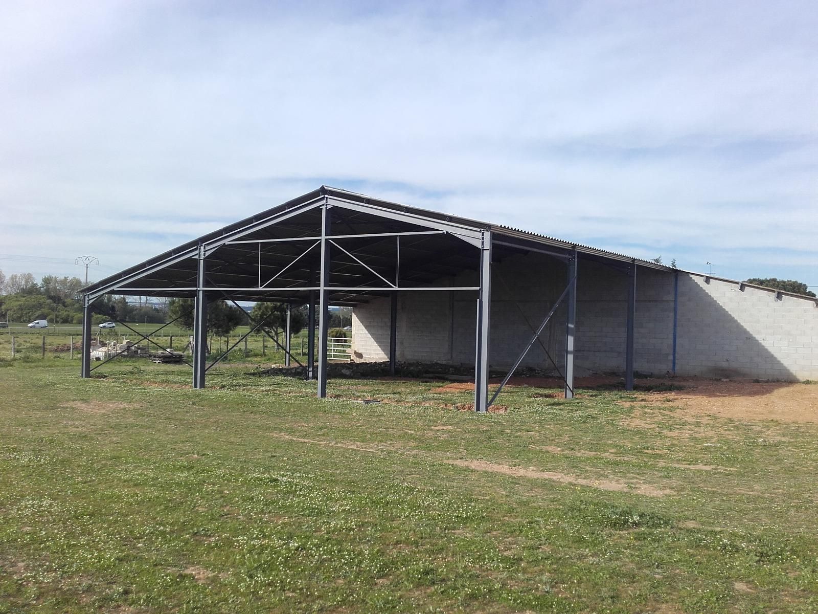 Bâtiment agricole en métal de couleur vert
