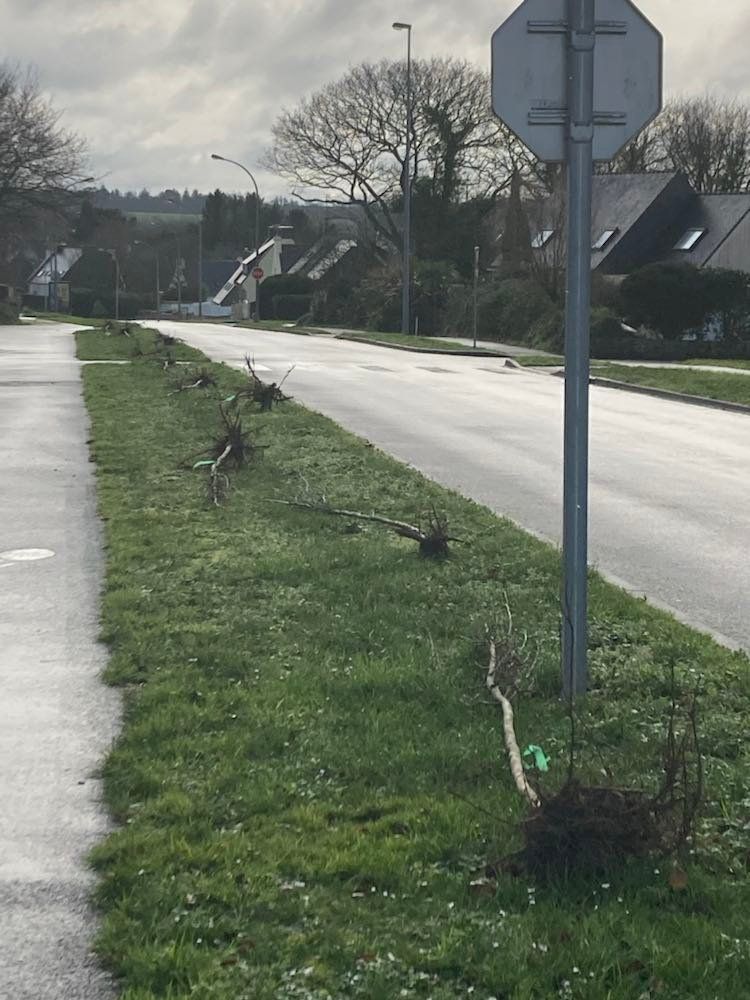 Préparation des emplacements