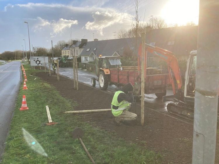 Plantation des arbres