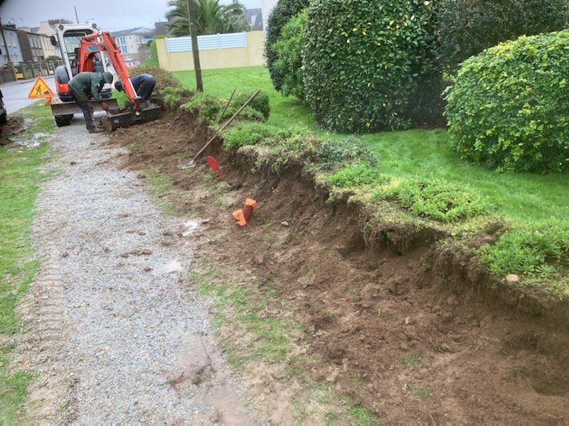 Avant mise en place de la haie