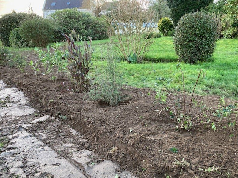 Après mise en place de la haie