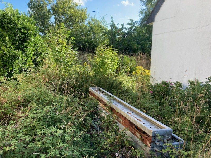 Avant tonte et nettoyage