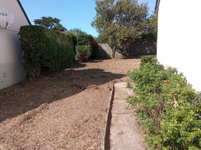 Après tonte et nettoyage