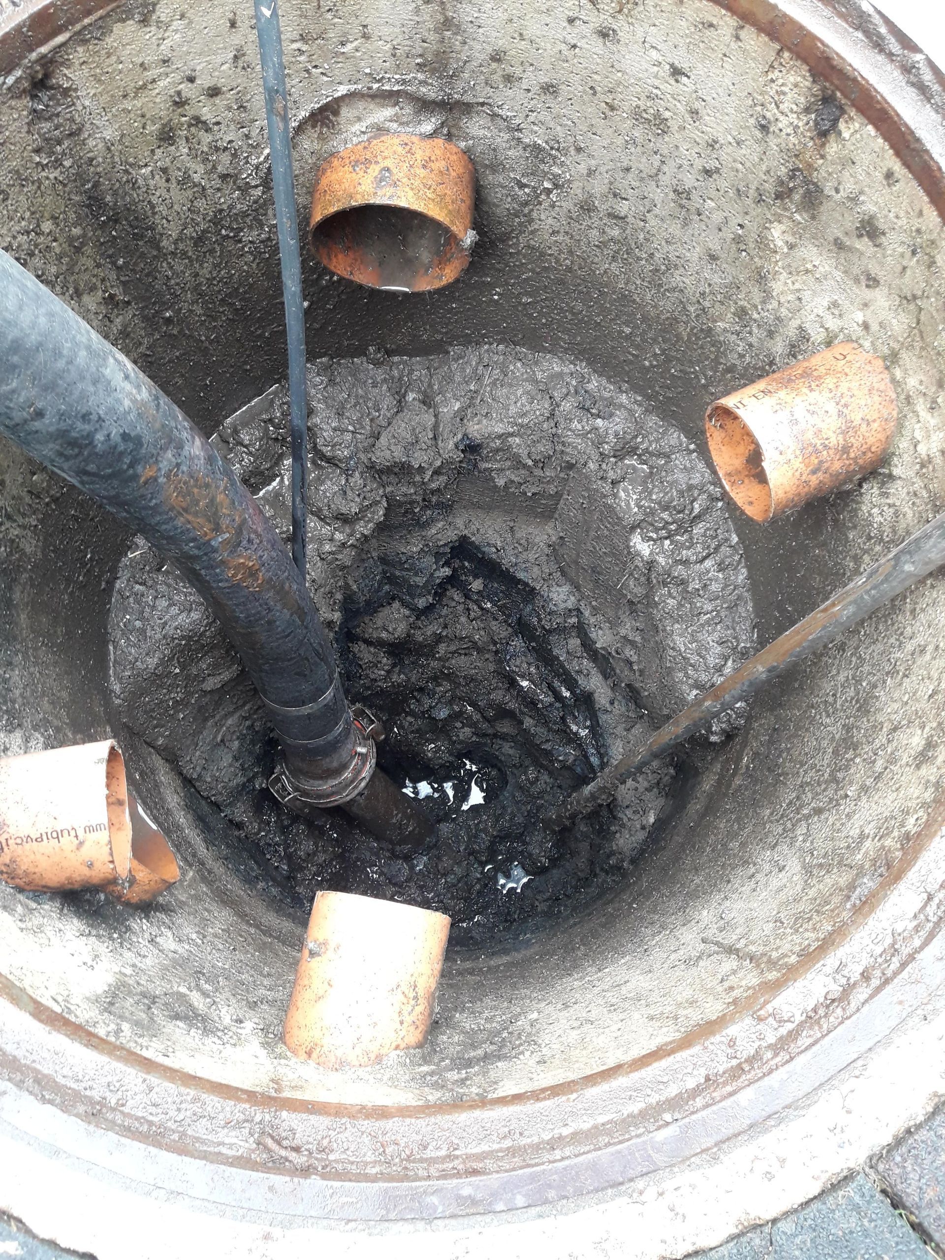 Amoudruz SA | Les Acacias