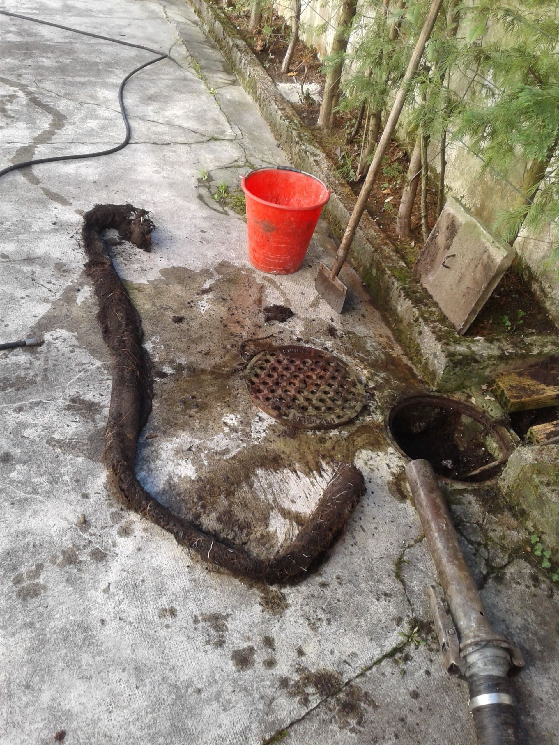 Amoudruz SA | Les Acacias