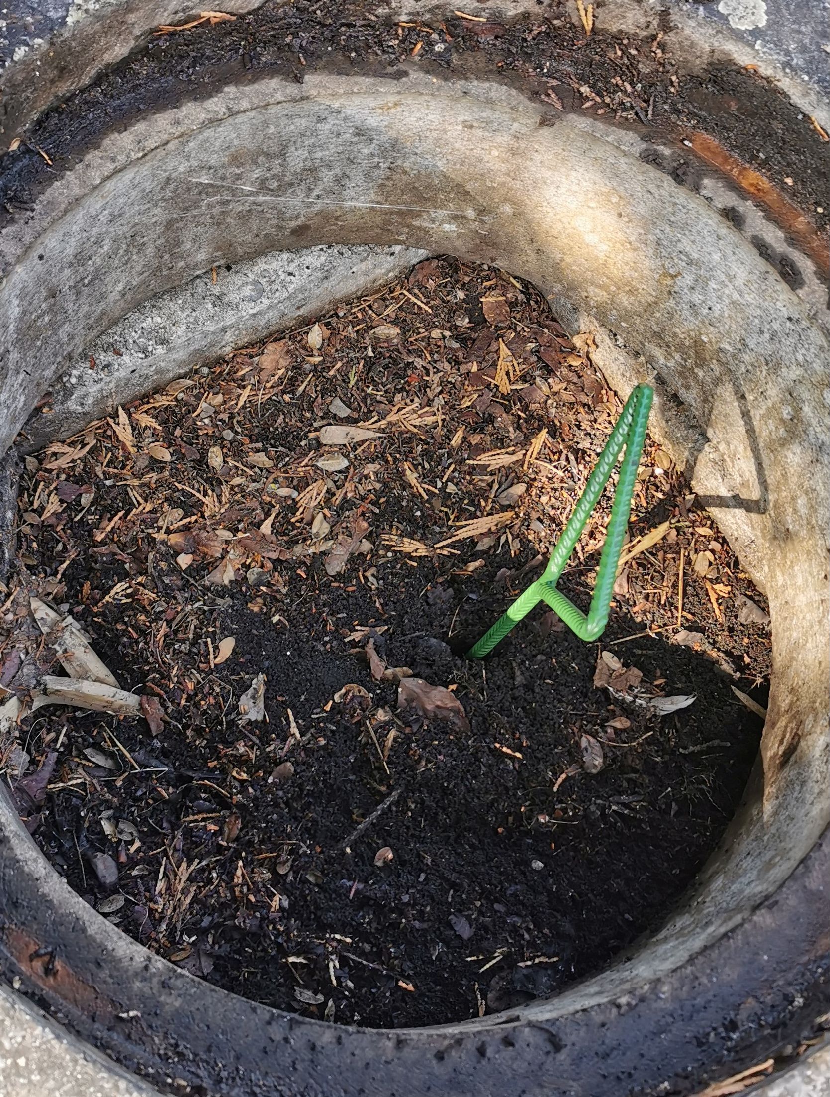 Amoudruz SA | Les Acacias