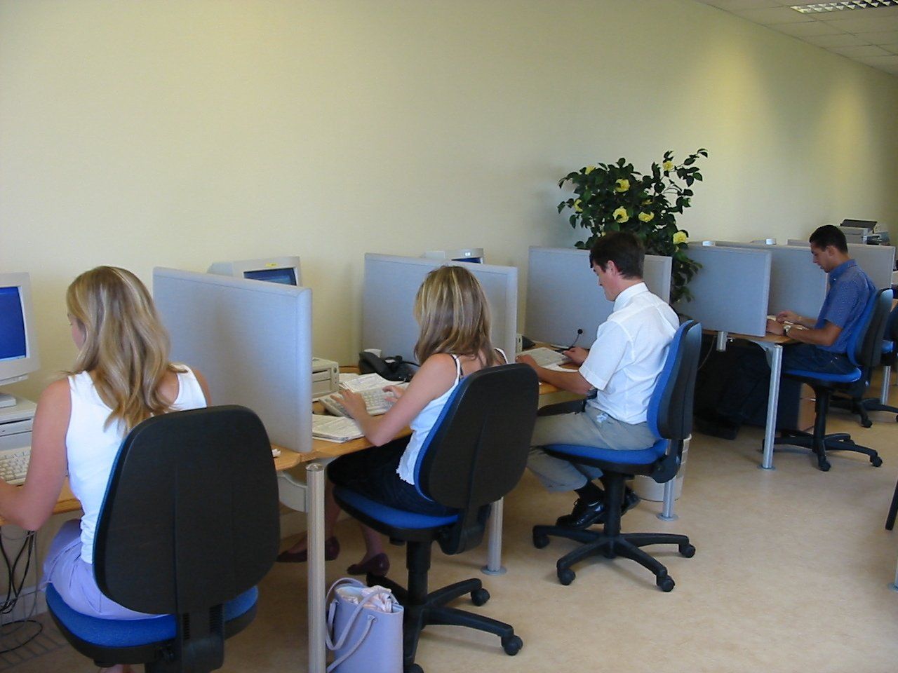 Salariés devant un ordinateur sur des chaises de bureau bleues
