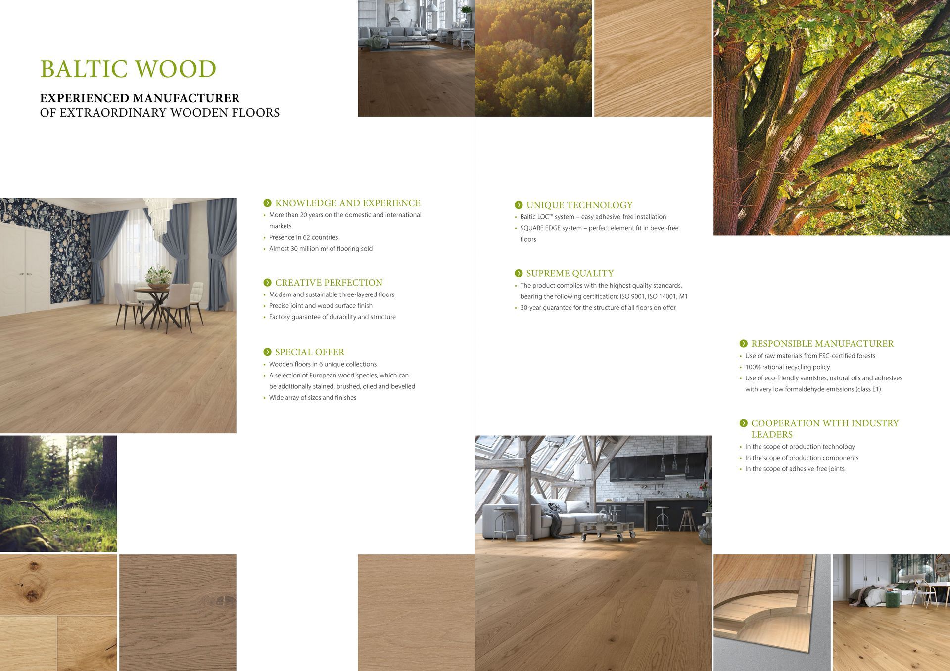 Baltic Wood  Painters  Collection