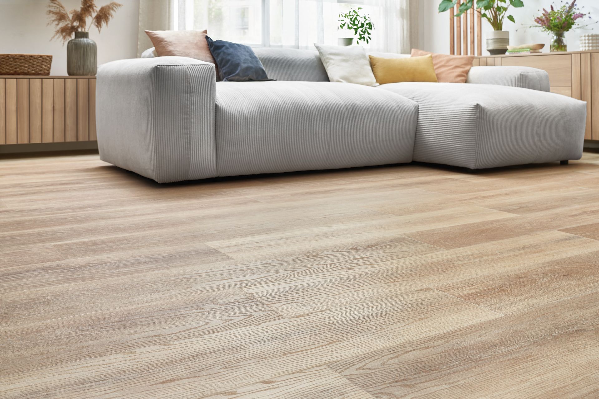 Gold PROVINIL PVIN09 ROBLE TASMANIA