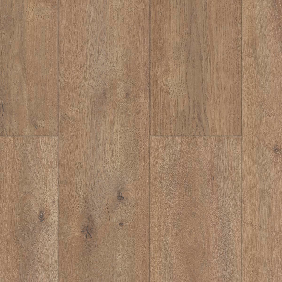 Gold PRO800 GRAN REAL mV4 - PROG07 ROBLE BERLÍN