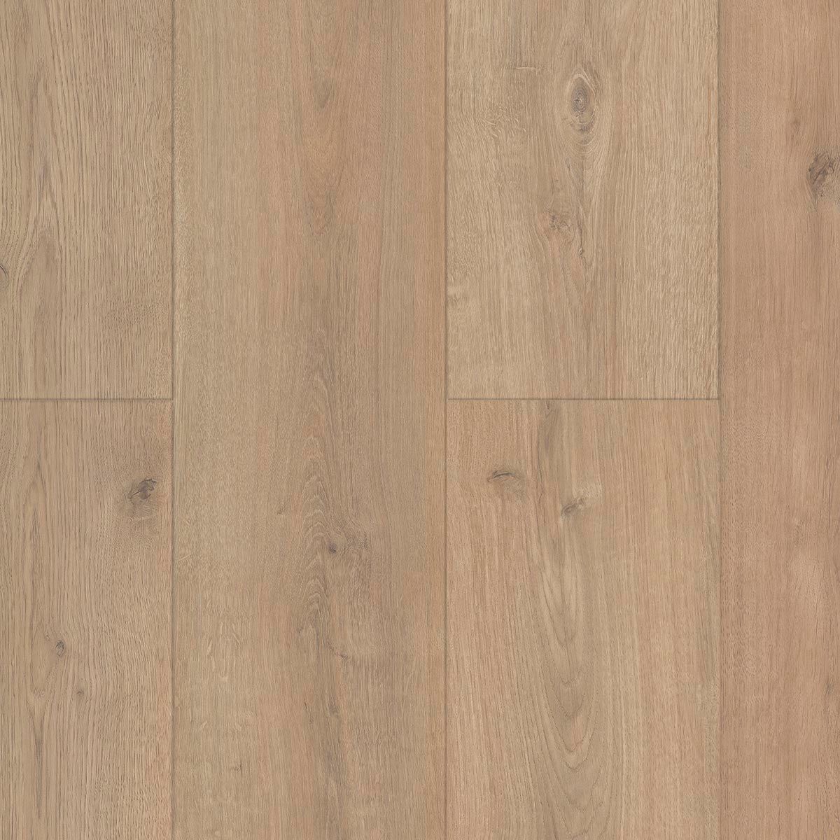 Gold PRO800 GRAN REAL mV4 - PROG06 ROBLE TOKIO